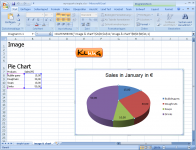 XLSX: Image and a pie chart (Excel 2007)
